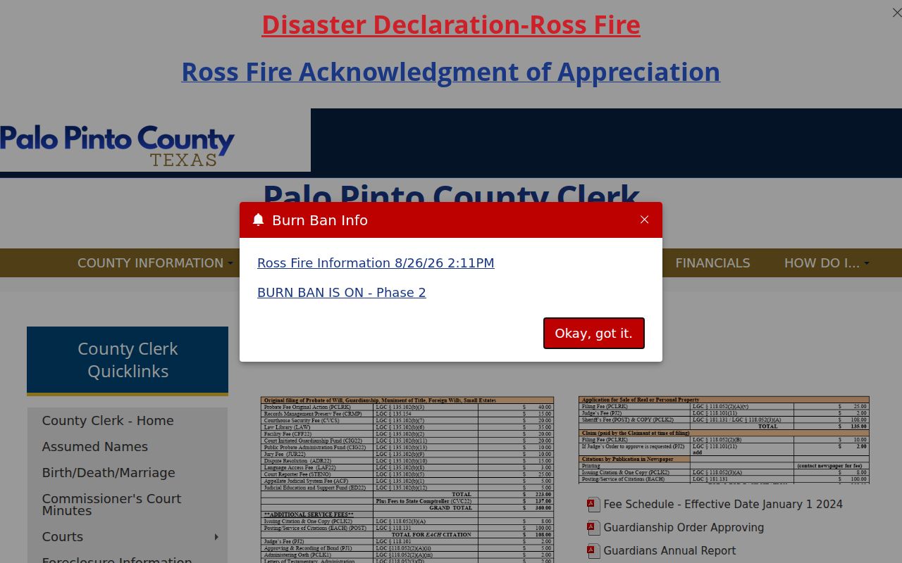 Palo Pinto County civil docket probate records page