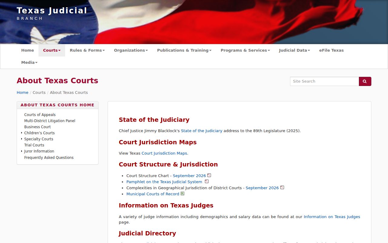 Texas court hierarchy for Palo Pinto County court docket routing